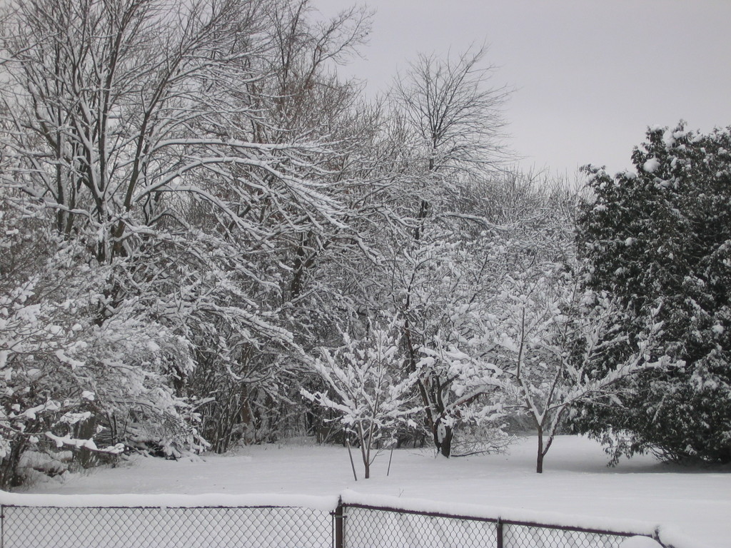 Snowfall Why Does it Snow?