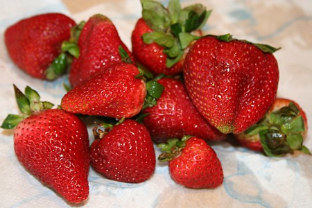 Strawberries Why Does a Strawberry Look Red?