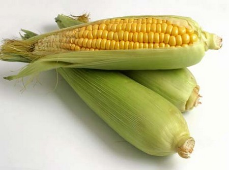 Sweet Corn Why Does Corn Come Out Whole