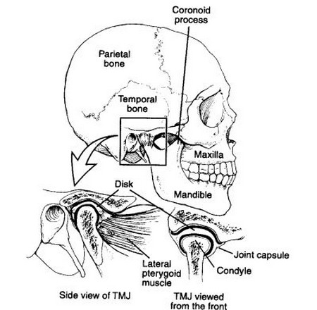 Jaw Pop Why Does My Jaw Pop