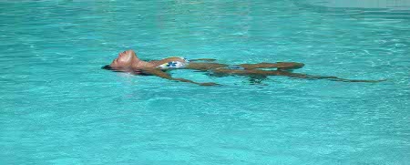 women relaxing by the pool Why Does One Need to Relax